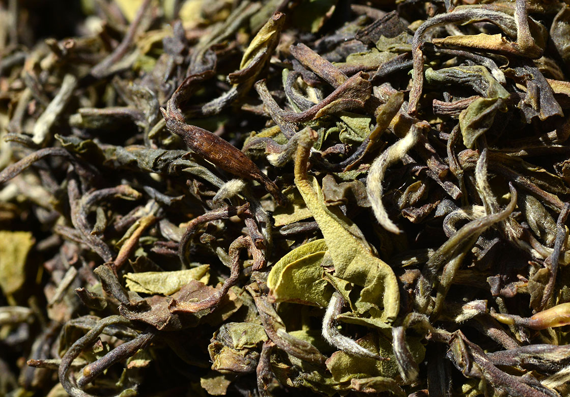 Darjeeling Rohini FF indiai fekete tea