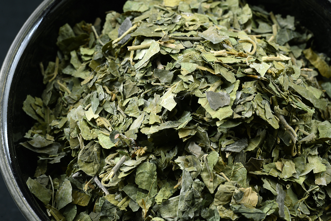 Gurmar - Gymnema sylvestre tea