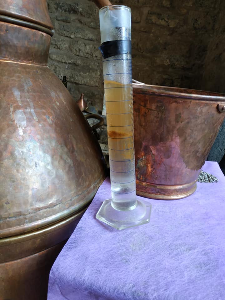 levendula olaj essszencia készítés