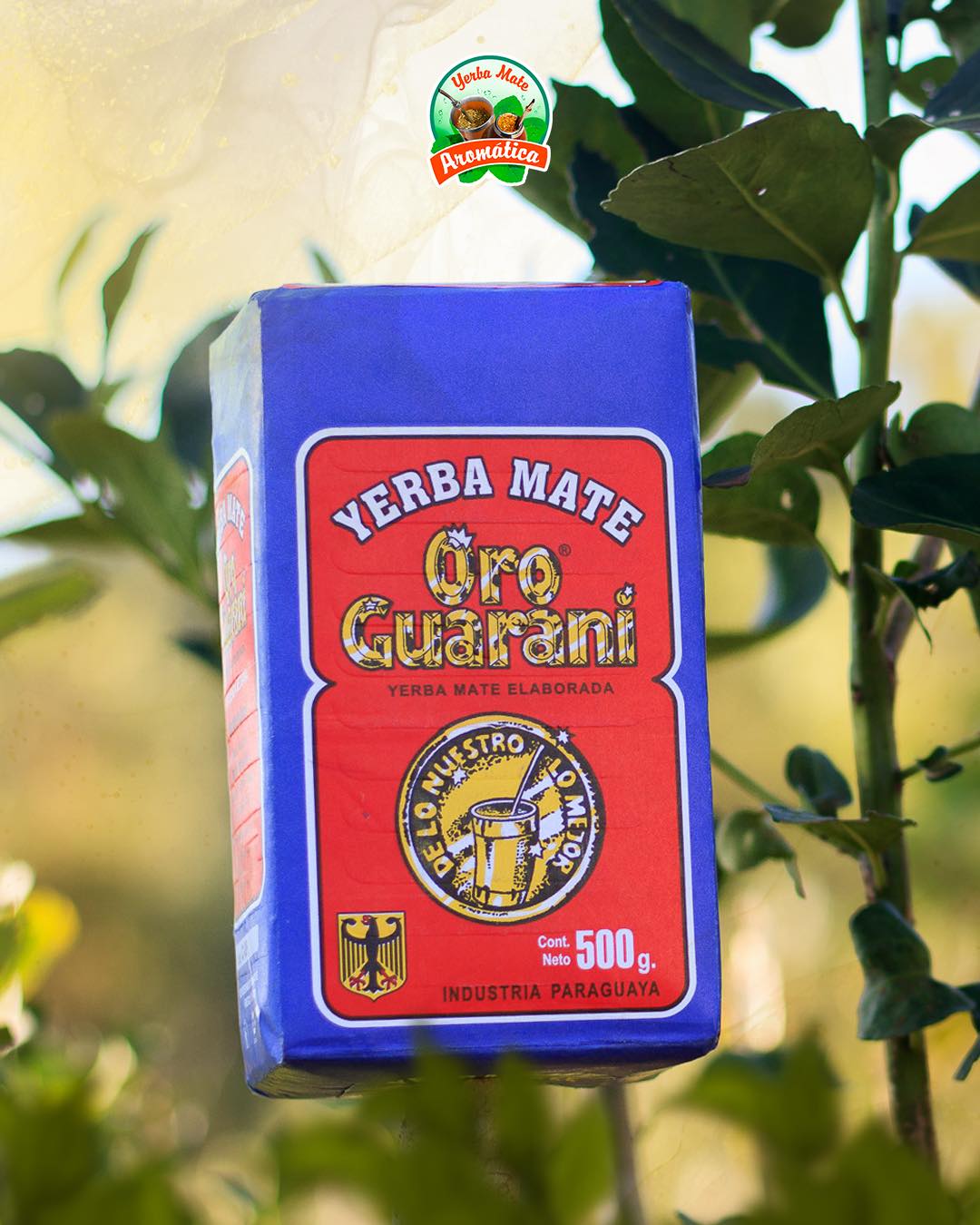 oro guaraní yerba mate tea