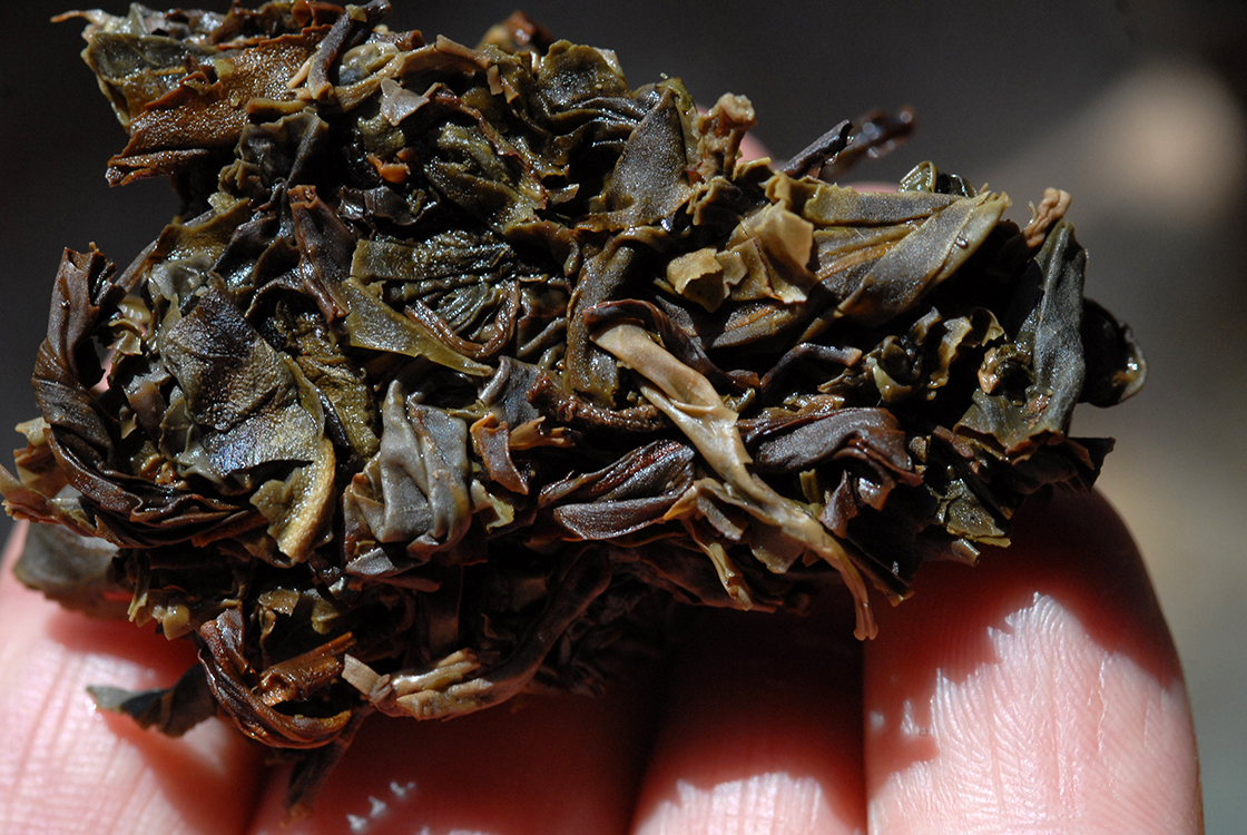 2005 Xiaguan ye sheng vad sheng puerh tea