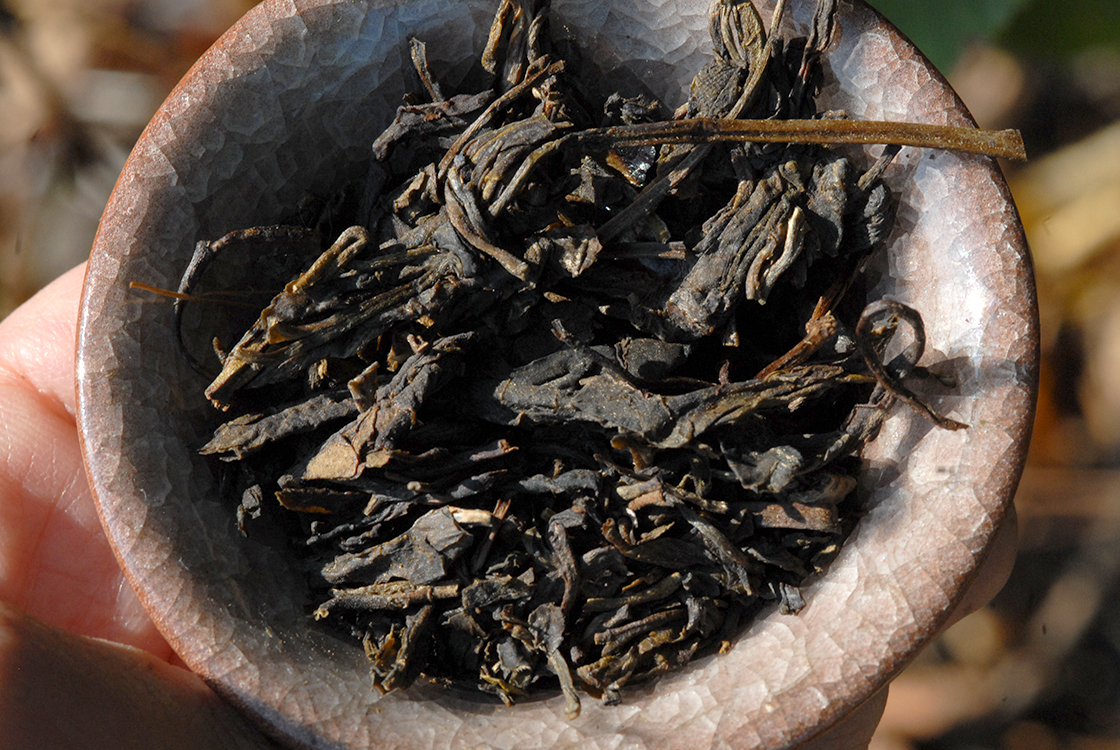 2006 douyi yiwuzengshan wild sheng puerh tea