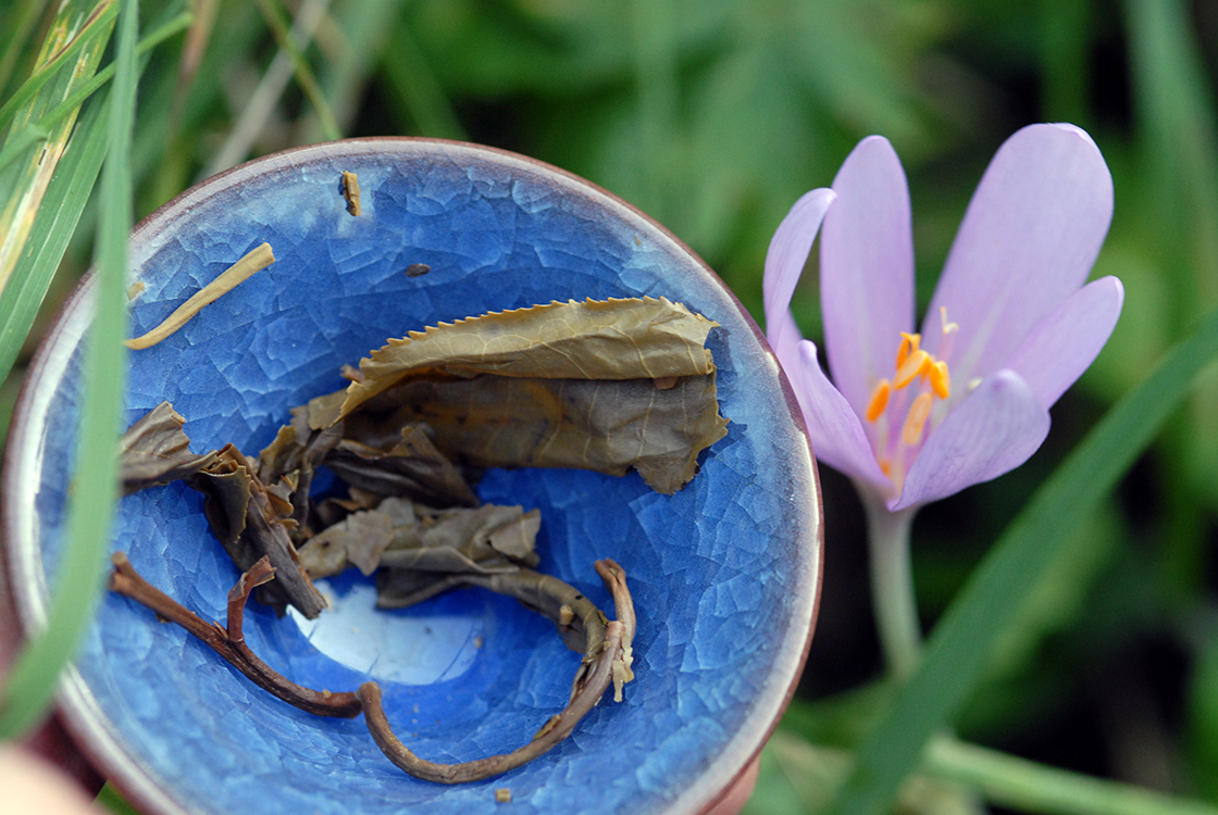 2006 douyi yiwuzengshan wild sheng puerh tea