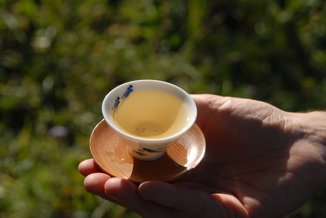 2007 Xi Zi Hao Huang Shan Lin sheng puer tea