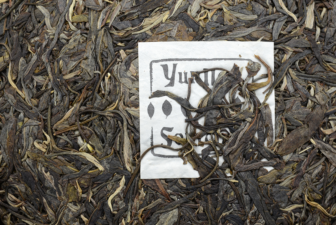 2011 Pasha Mountain wild sheng puerh tea