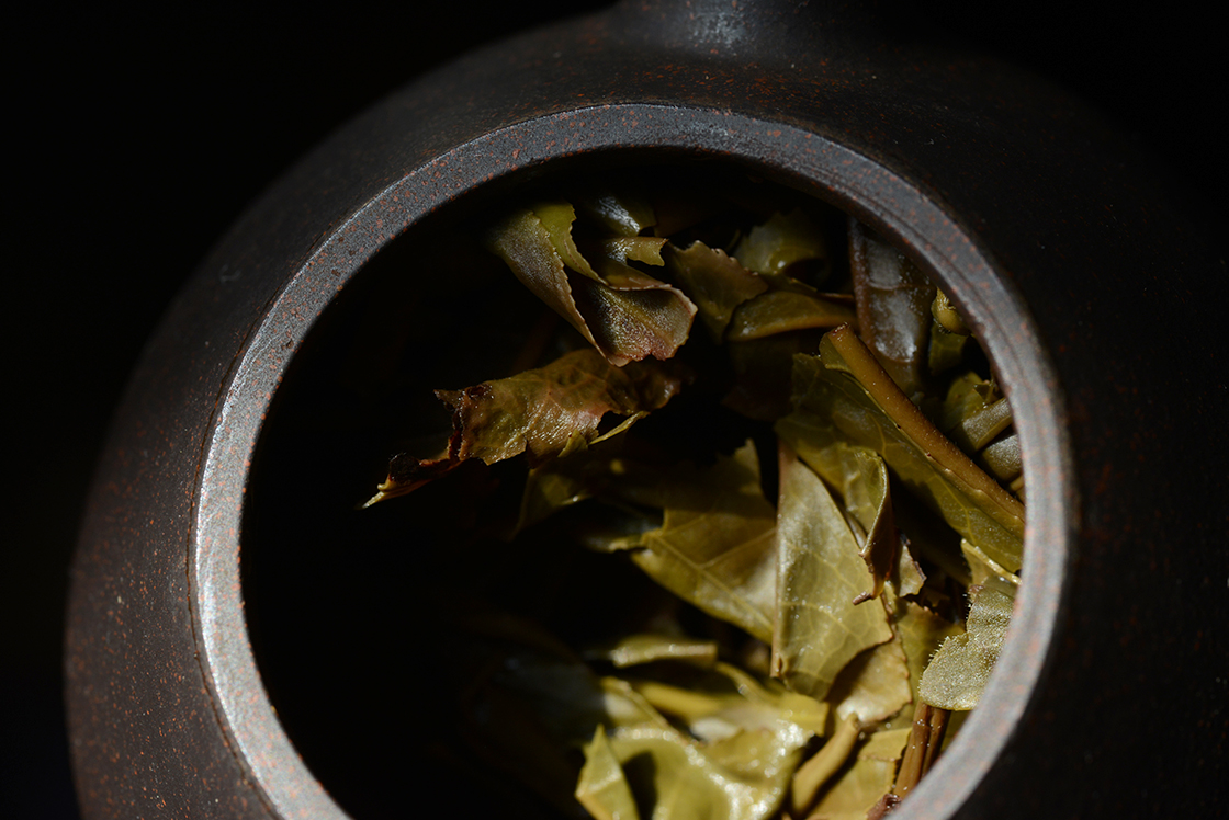 2011 Pasha Mountain wild sheng puerh teaYS