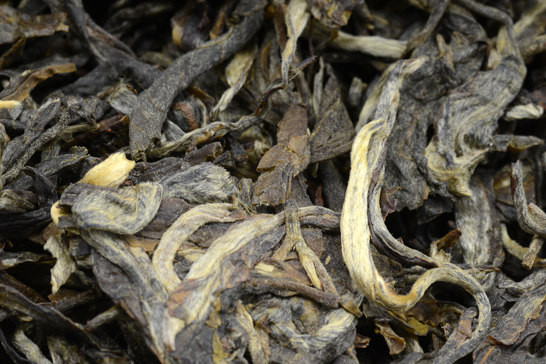 2015 Bing Dao sheng puerh 