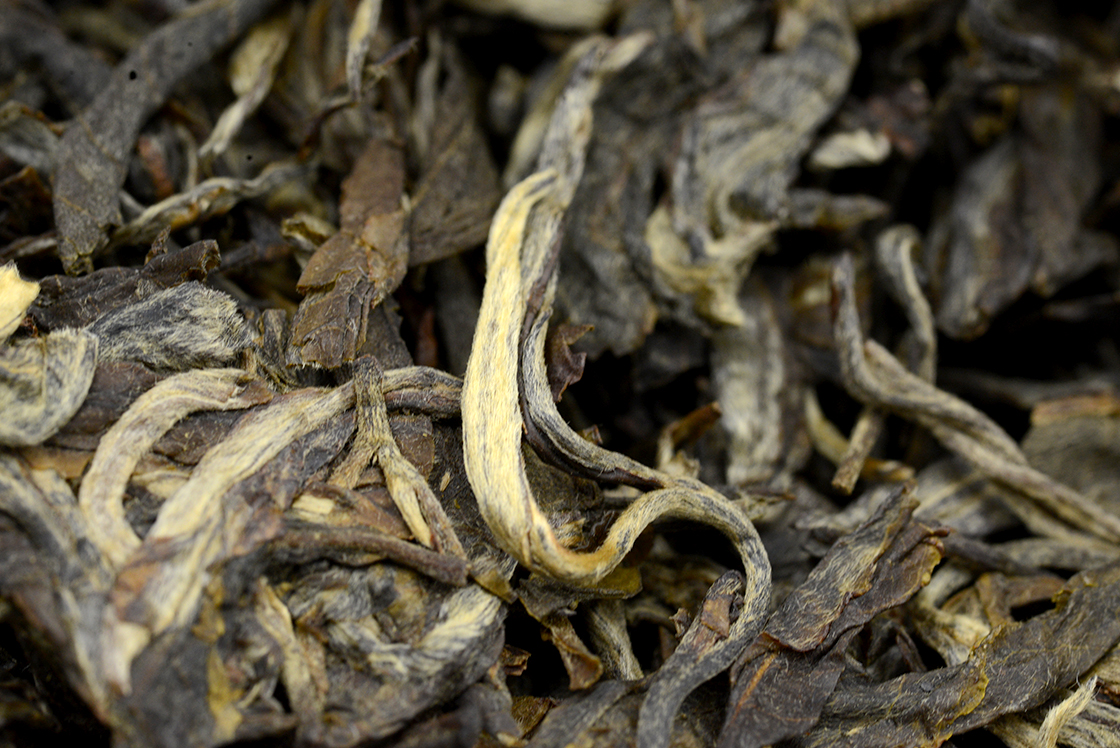 2015 Bing Dao sheng puerh 