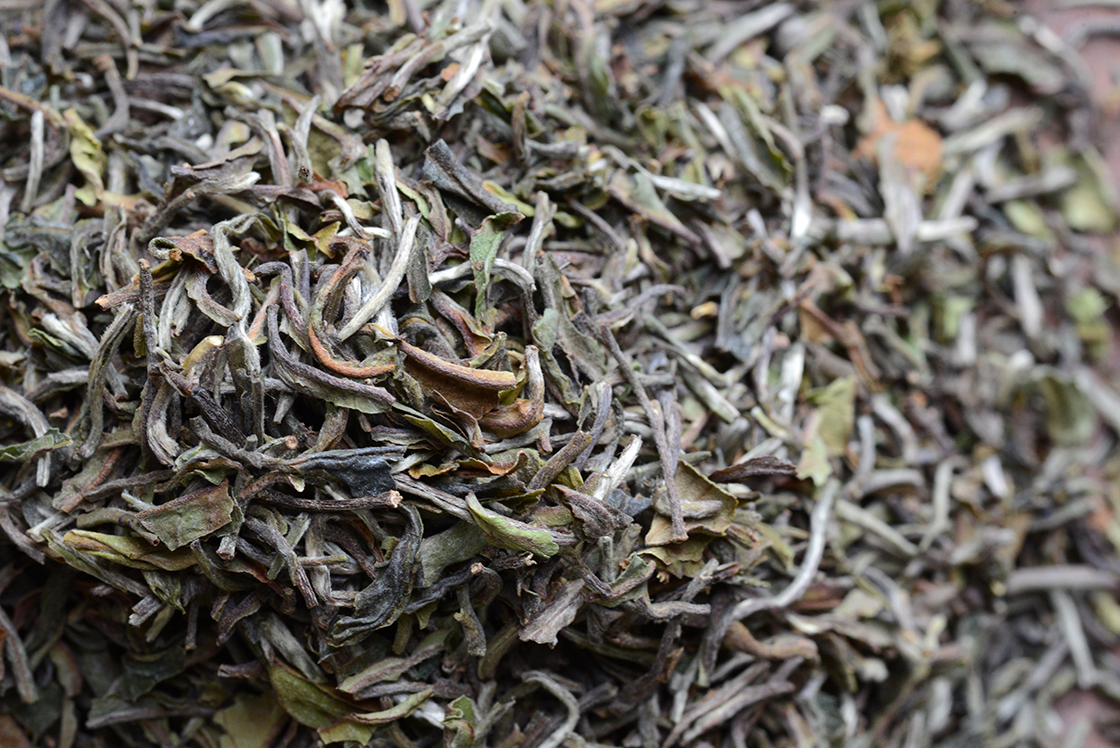 Darjeeling Rohini Tippy First Flush FTGFOP1 black tea