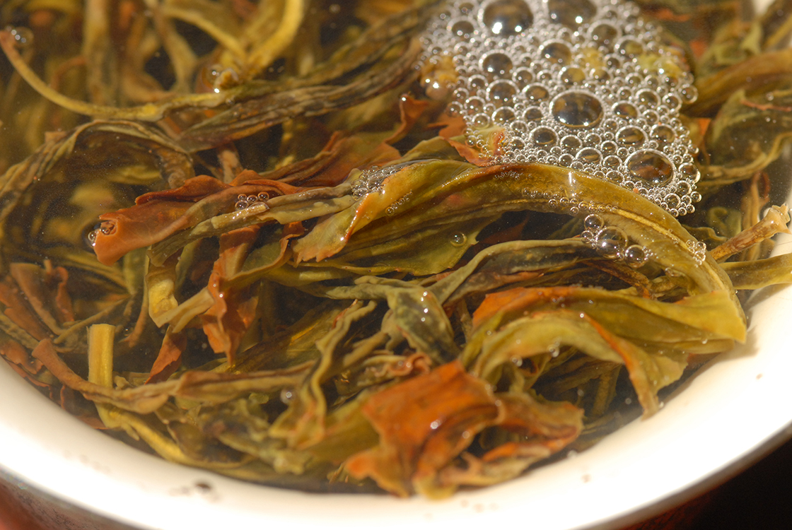 Feng Huang Dan Cong Song Zhong wulong tea