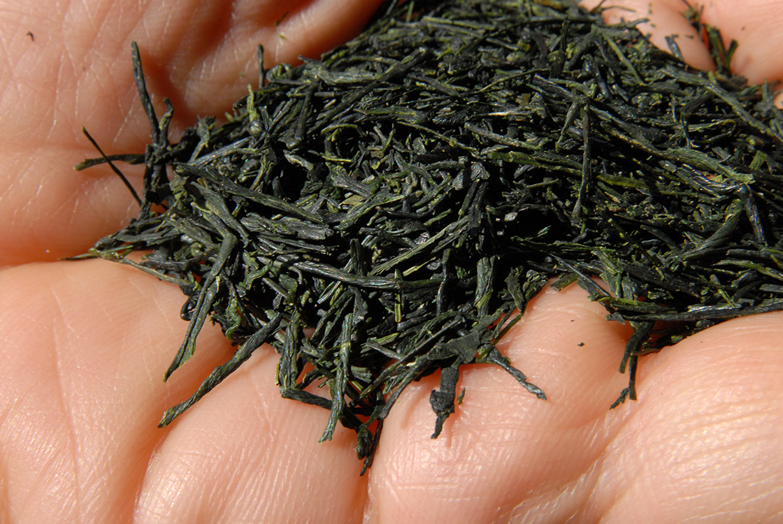 asamiya gyokuro enryaku