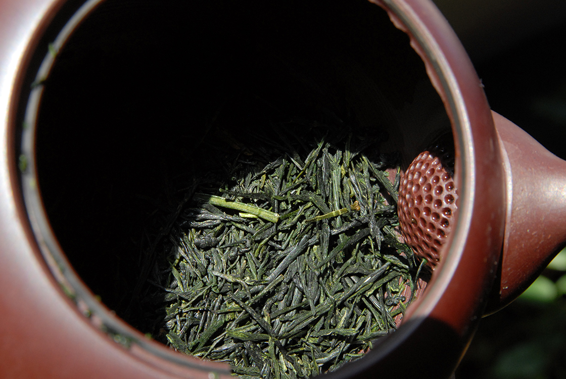 asamiya gyokuro enryaku