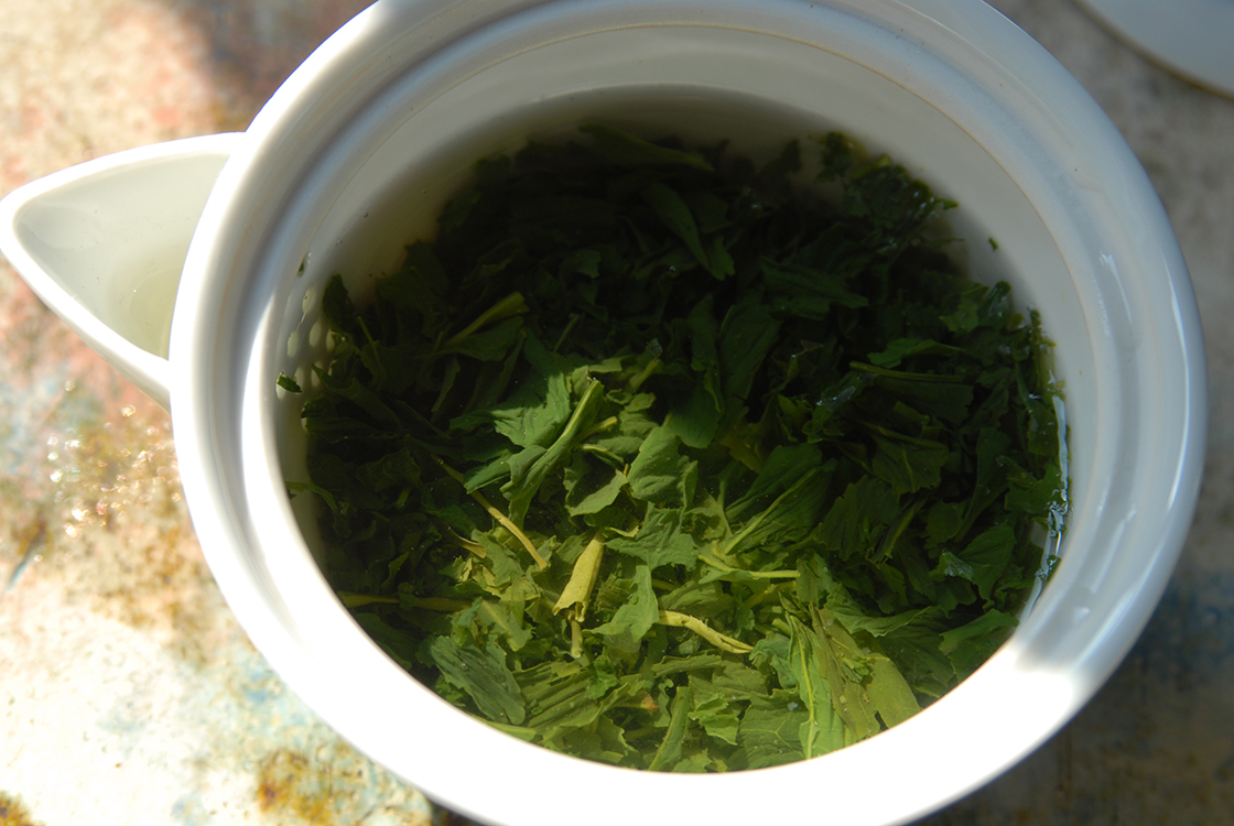 gyokuro árnyékolt zöld tea