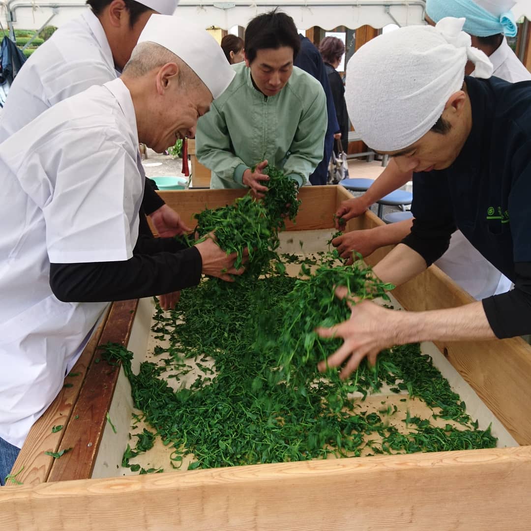 hoshino gyokuro tea.jpg