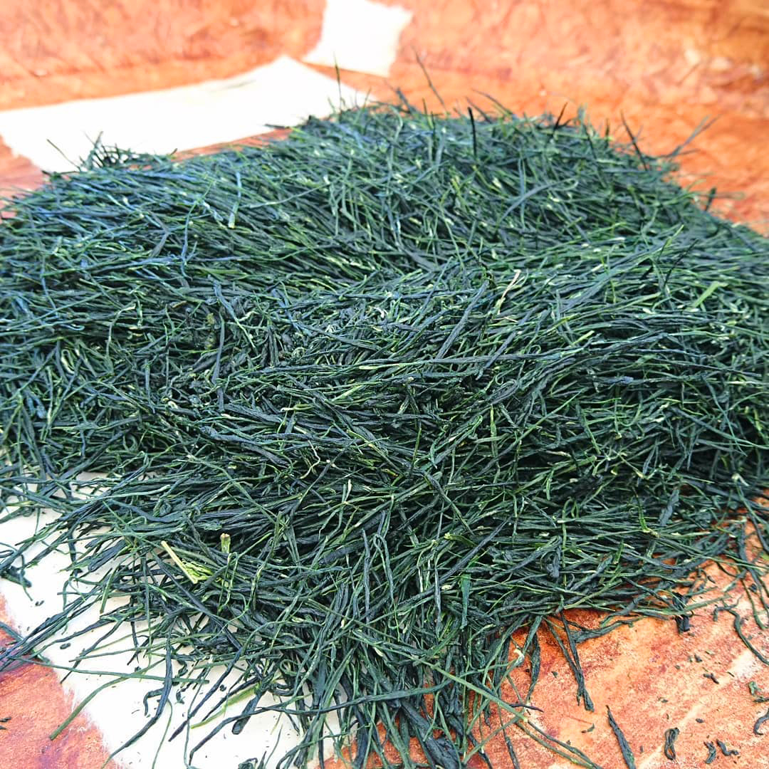 hoshitea gyokuro