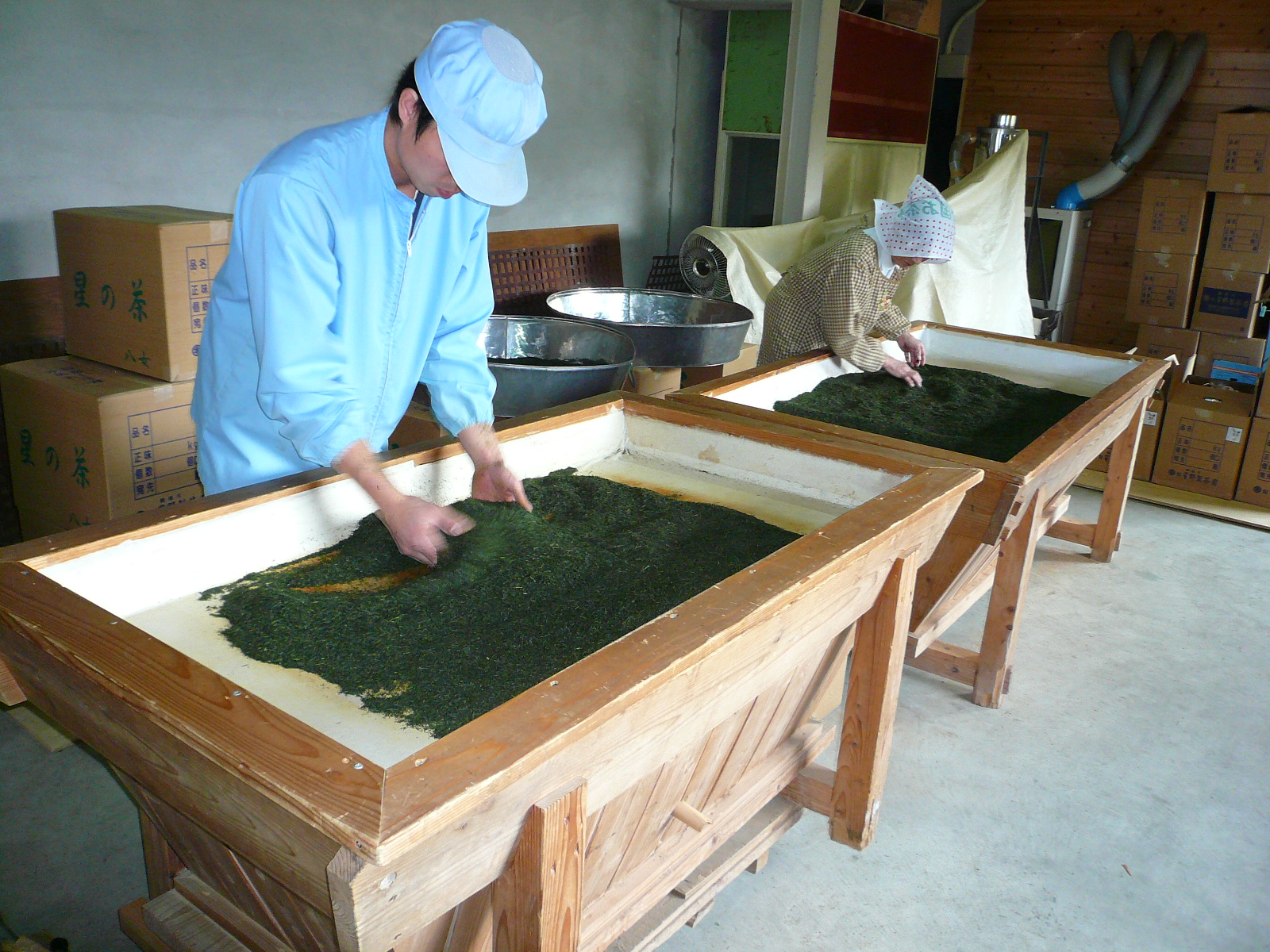 Hoshino gyokuro seiun árnyékolt japán zöld tea