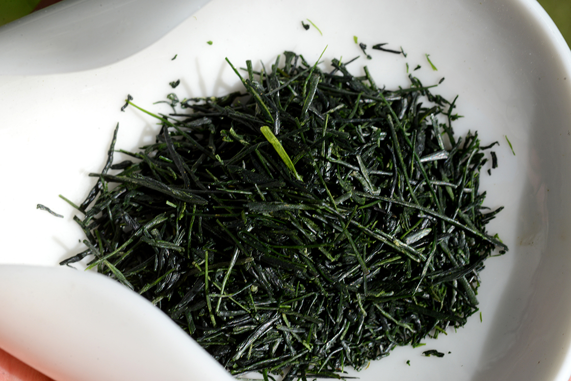 hoshino dento gyokuro japán zöld tea