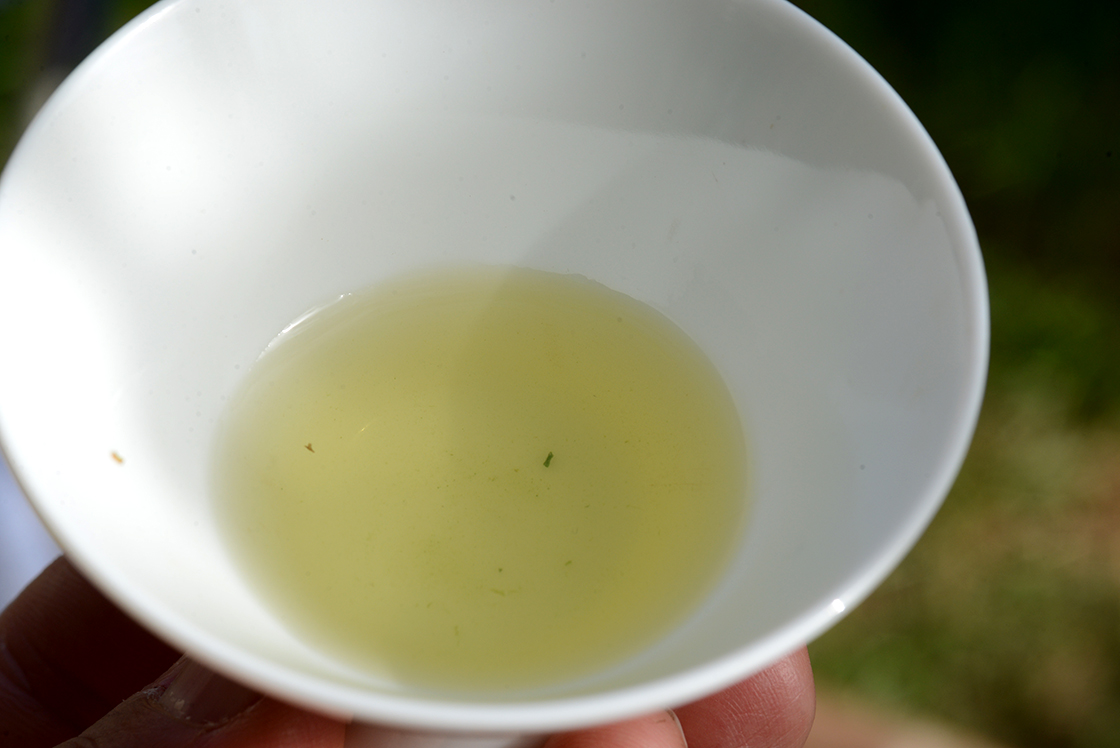 hoshino dento gyokuro japán zöld tea