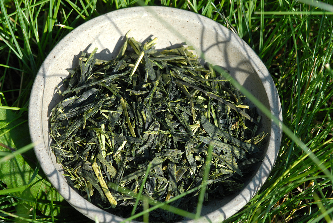 Marukyu-Koyamaen Kawayanagi ujimidori japanese green tea