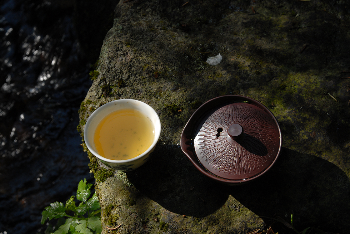 Marukyu-Koyamaen sencha shuei premium green tea