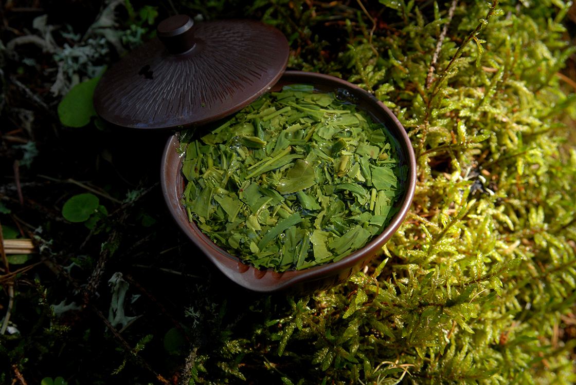 Marukyu-Koyamaen sencha shuei premium green tea