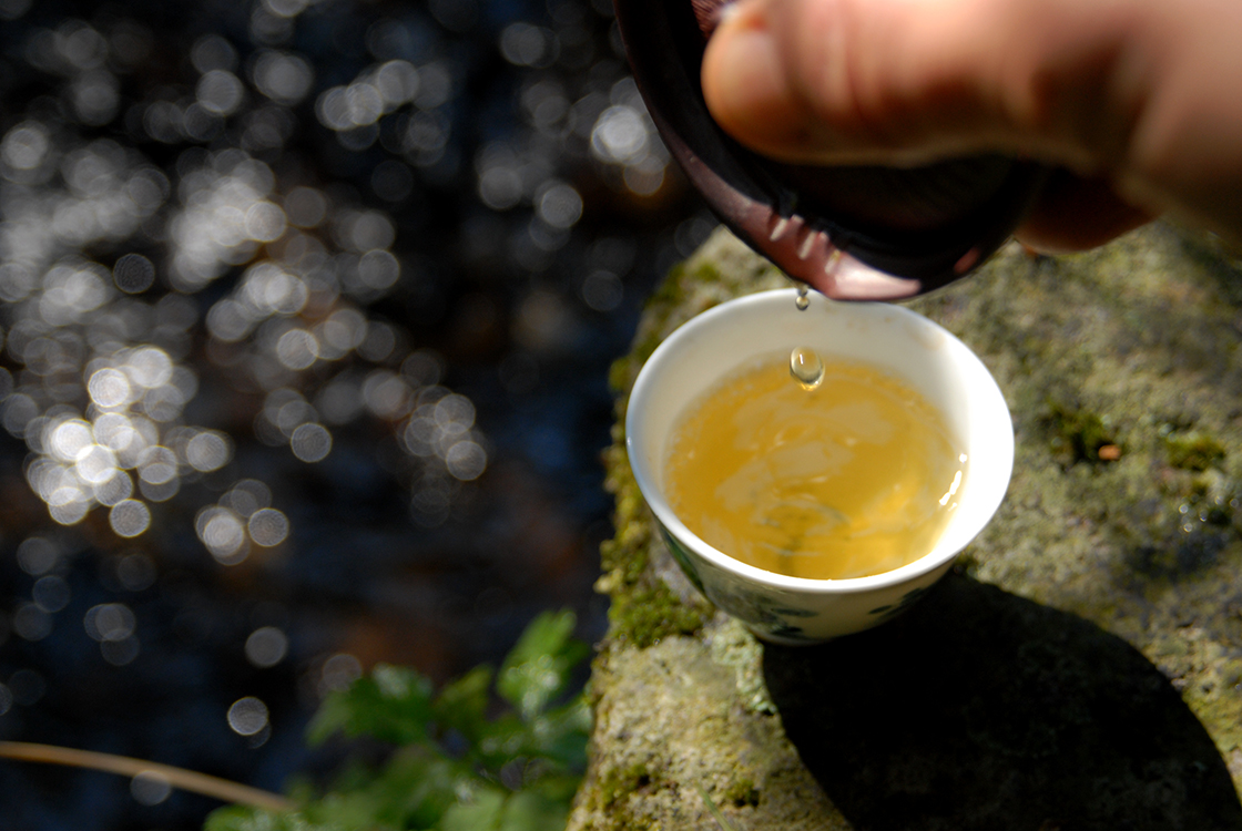 Marukyu-Koyamaen sencha shuei premium green tea