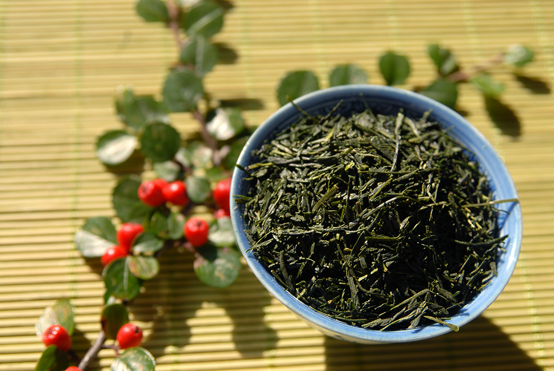 marukyu-Koyamaen sencha kotomidori green tea