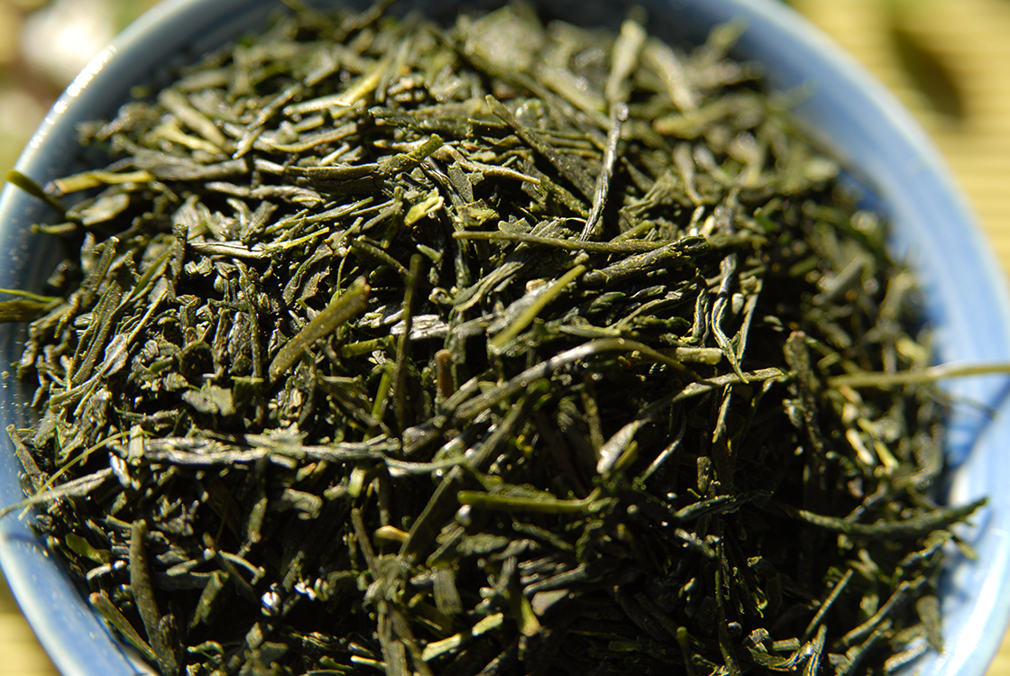 marukyu-Koyamaen sencha kotomidori green tea