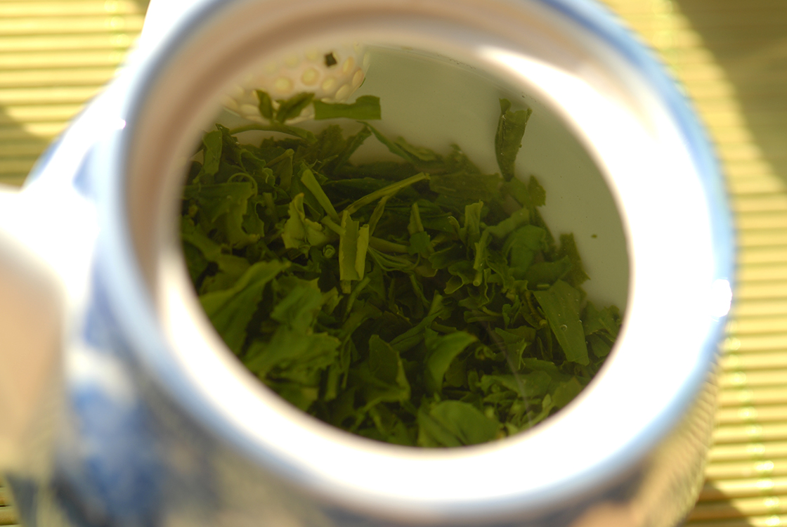 marukyu-Koyamaen sencha kotomidori japanese green tea