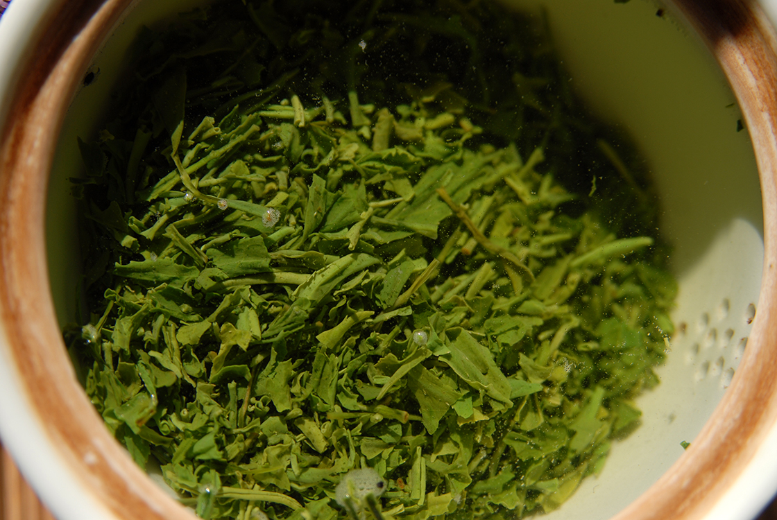 Marukyu-Koyamaen sencha tekiteki premium japanese green tea