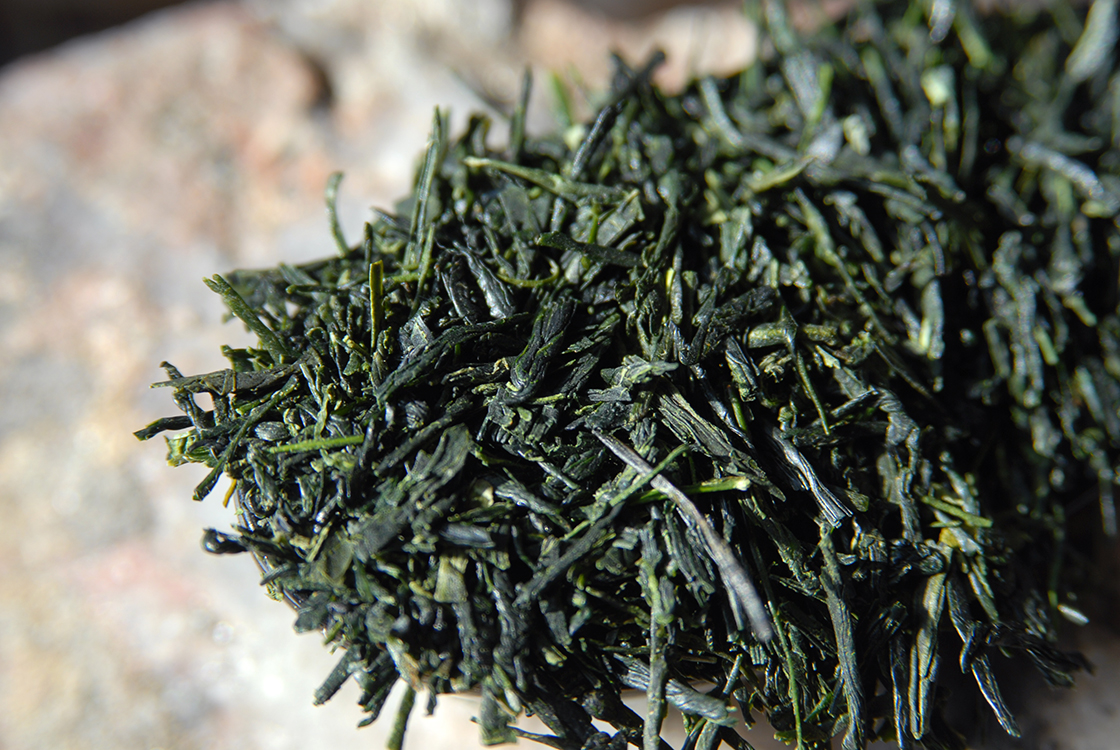 Marukyu-Koymaen Kabusecha Takamado japanese green tea