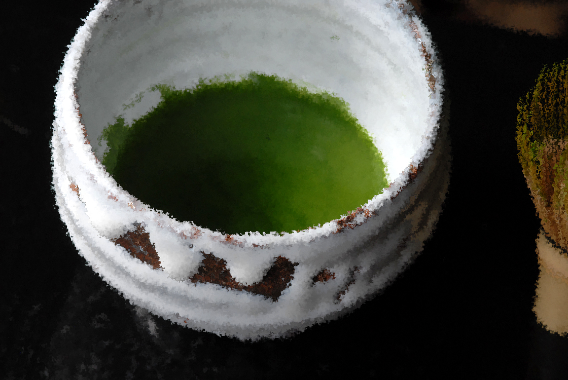 Marukyu-Koyamaen  Matcha Eiju koicha 