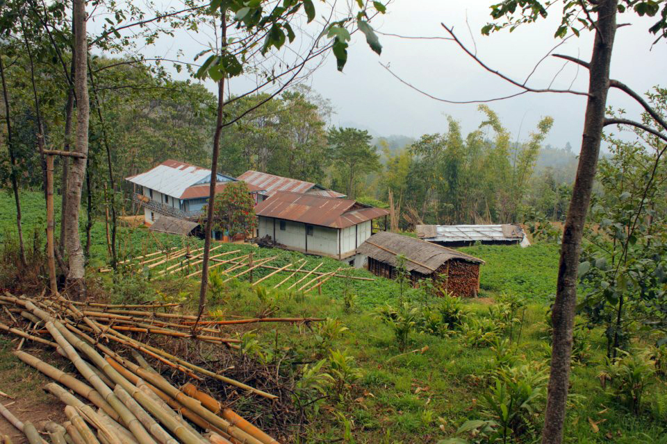 Nepáli tea farm