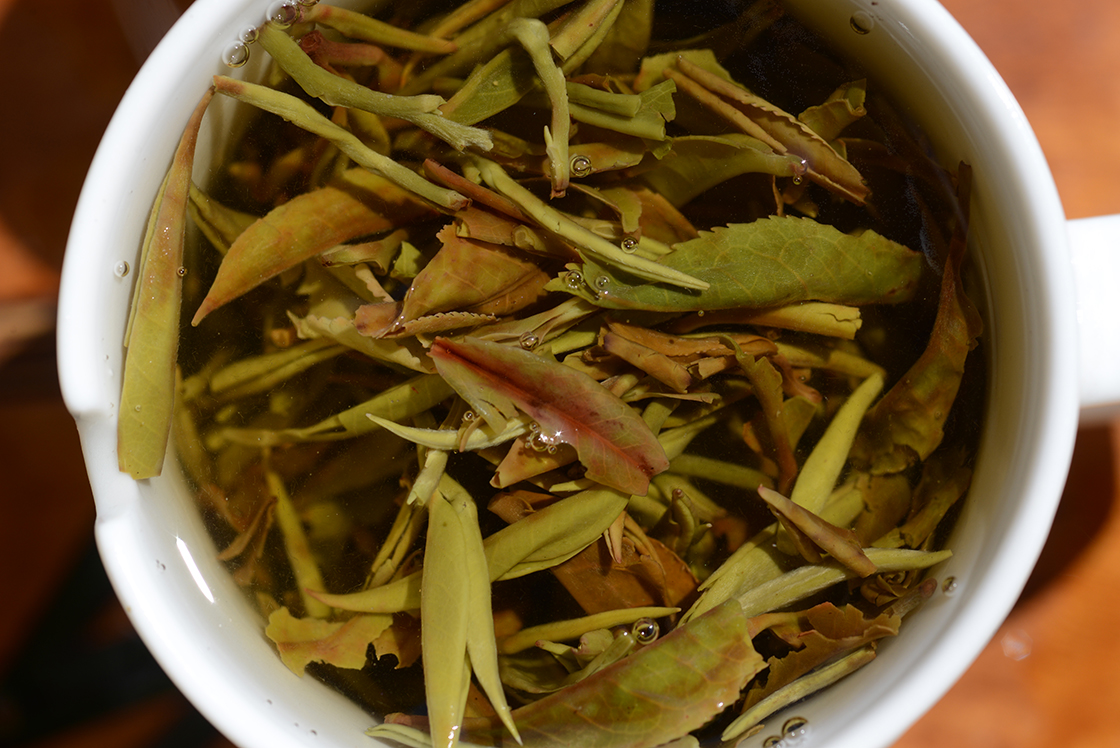 Nepal Sandakphu white tea