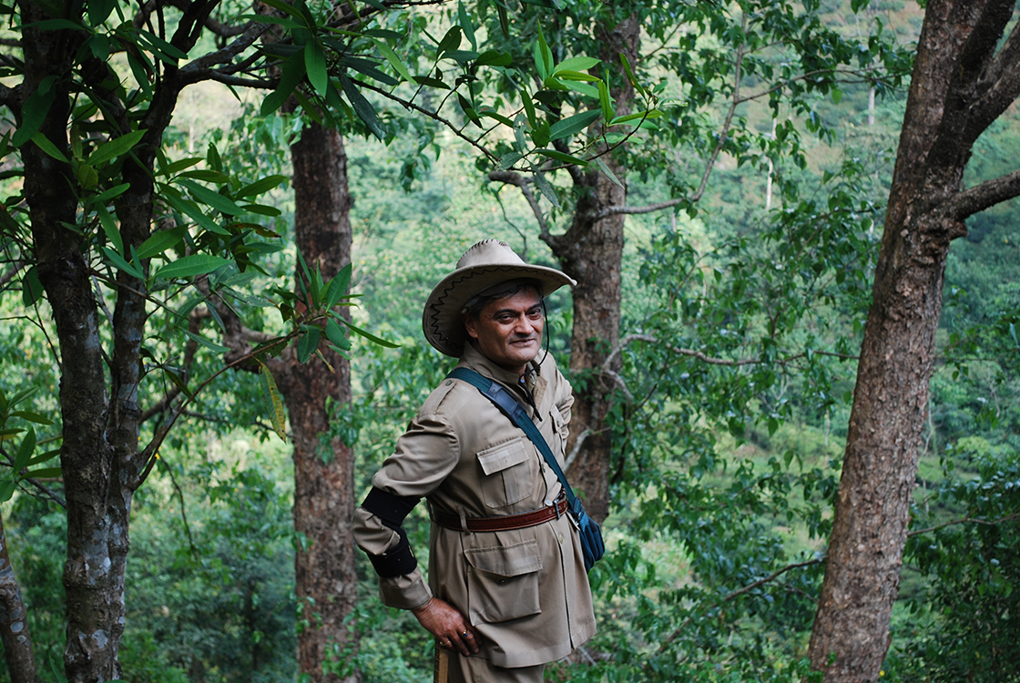 Rajah Darjeeling makaibari estate 