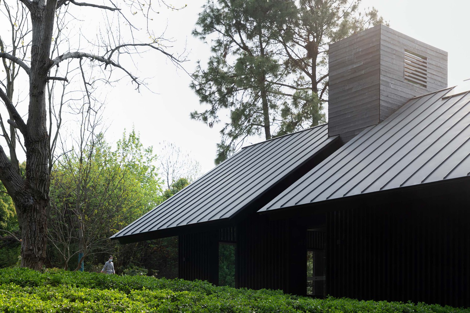 forest tea house