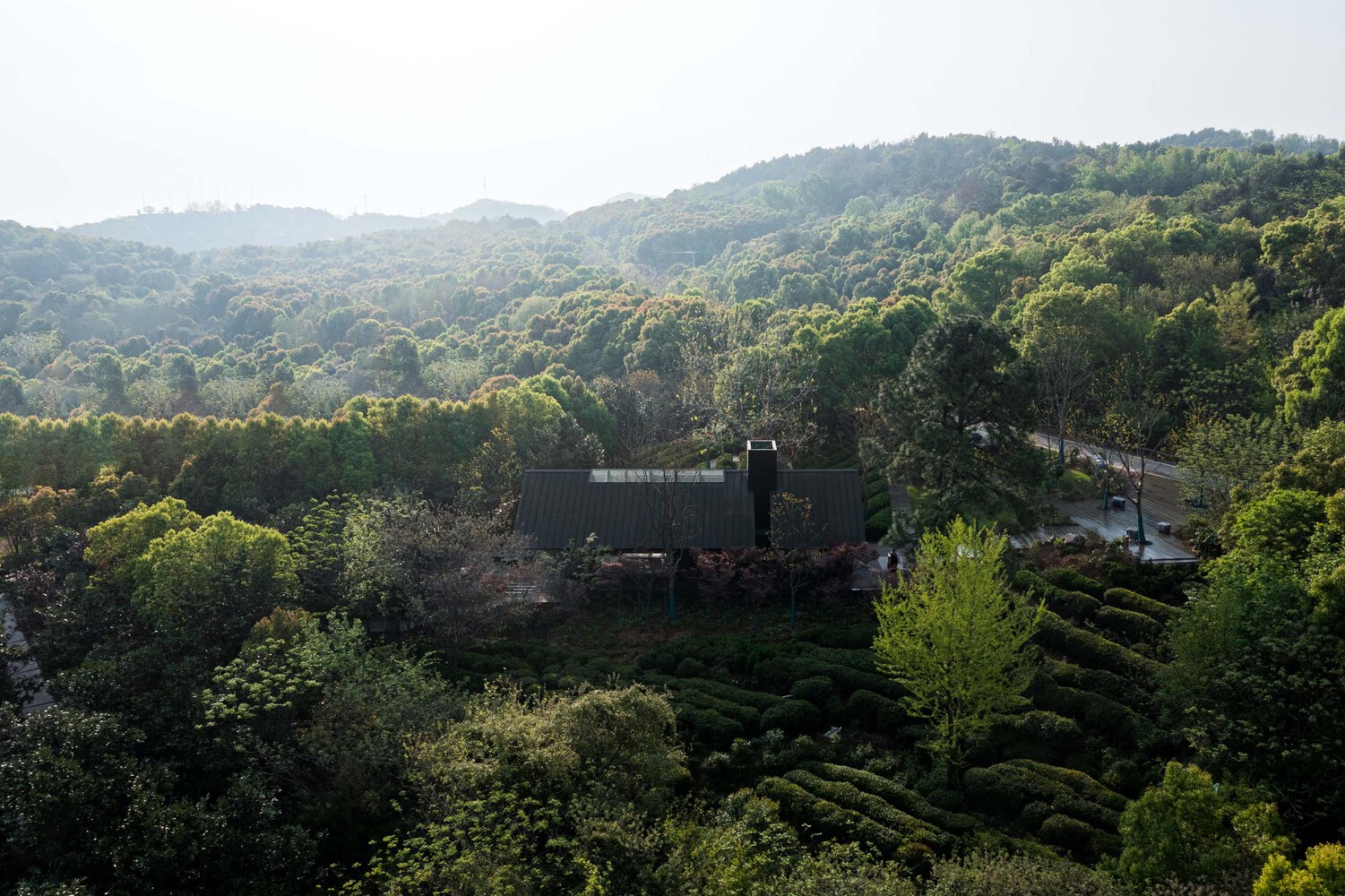 forest tea house