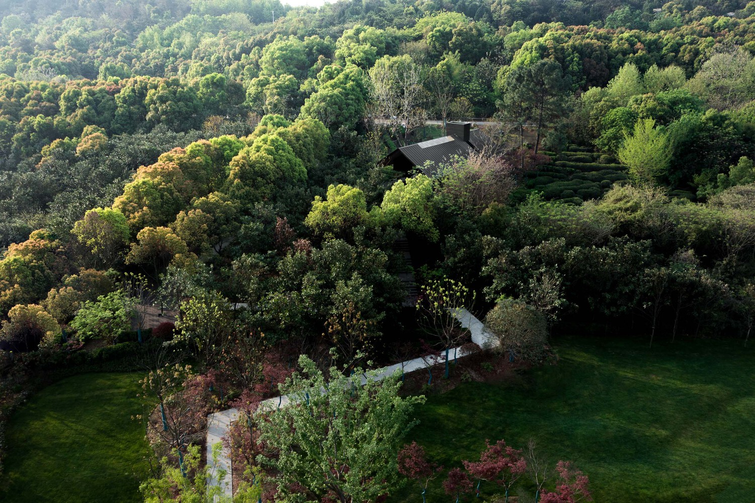 forest tea house