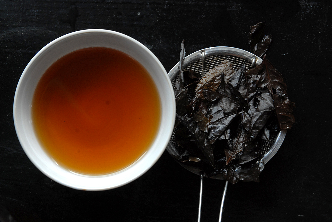 bancha japán tea