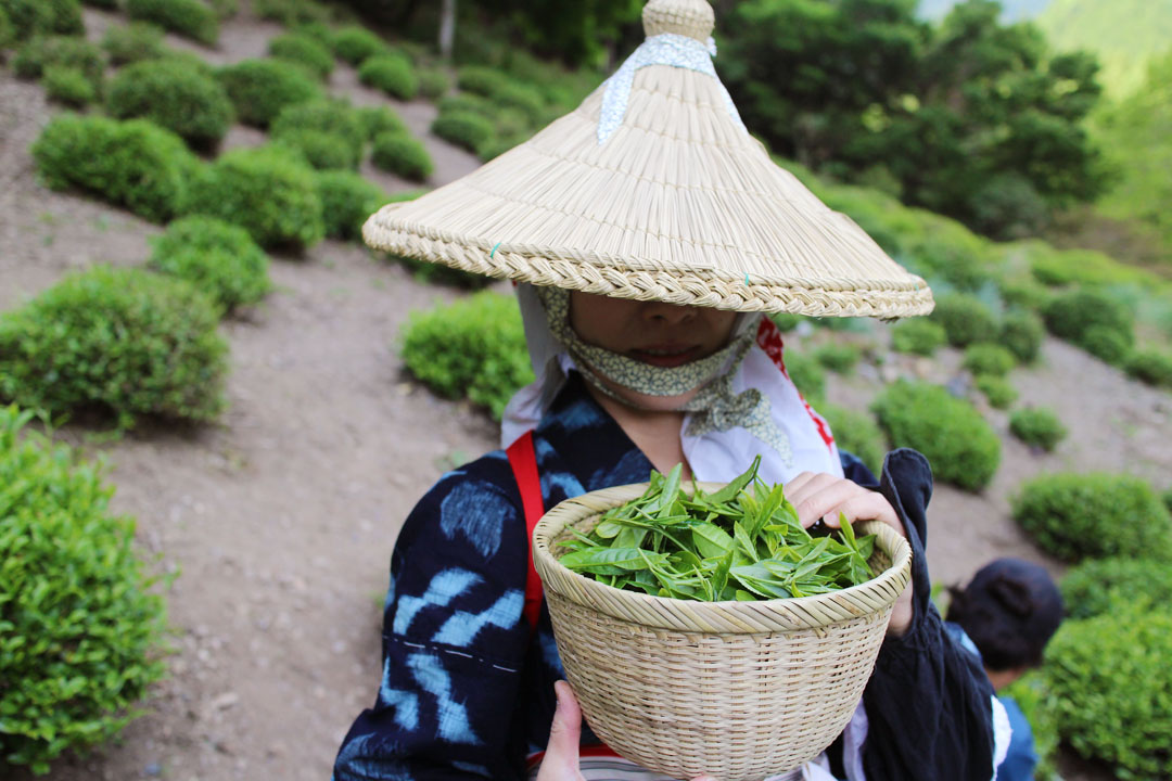 mandokoro tea