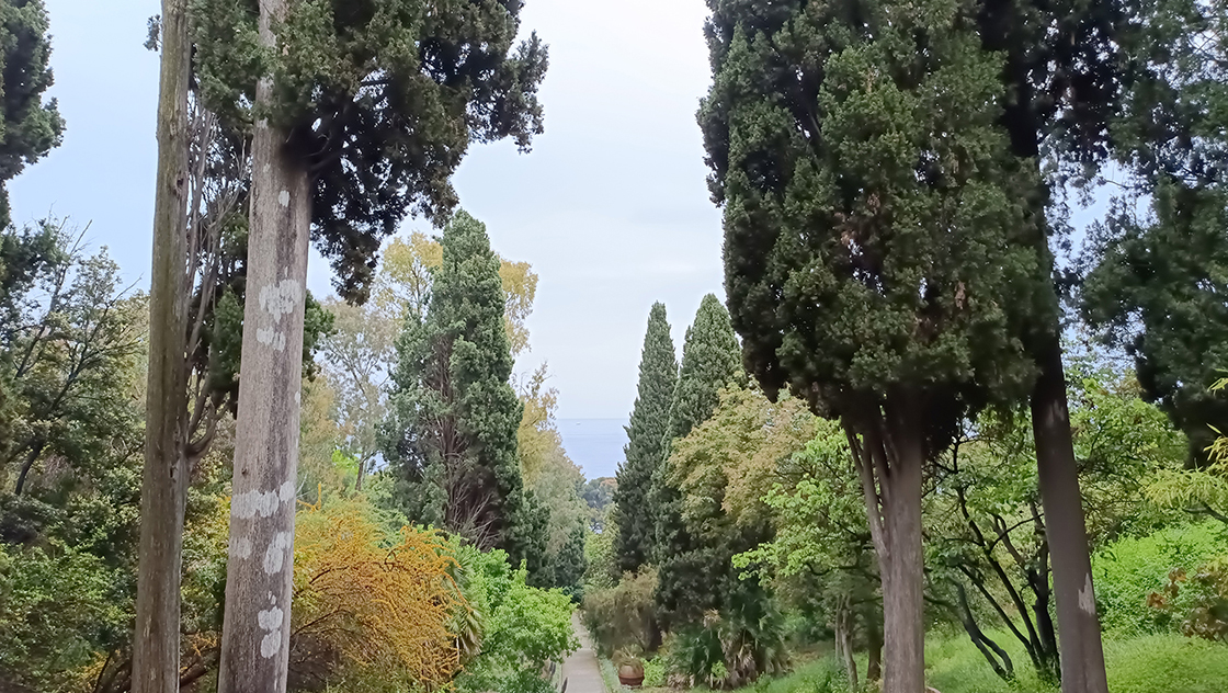 Giardini Botanici Hanbury 