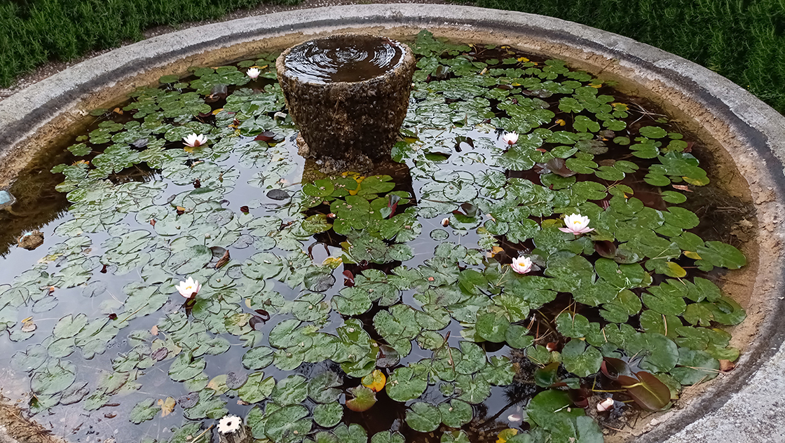 Giardini Botanici Hanbury 