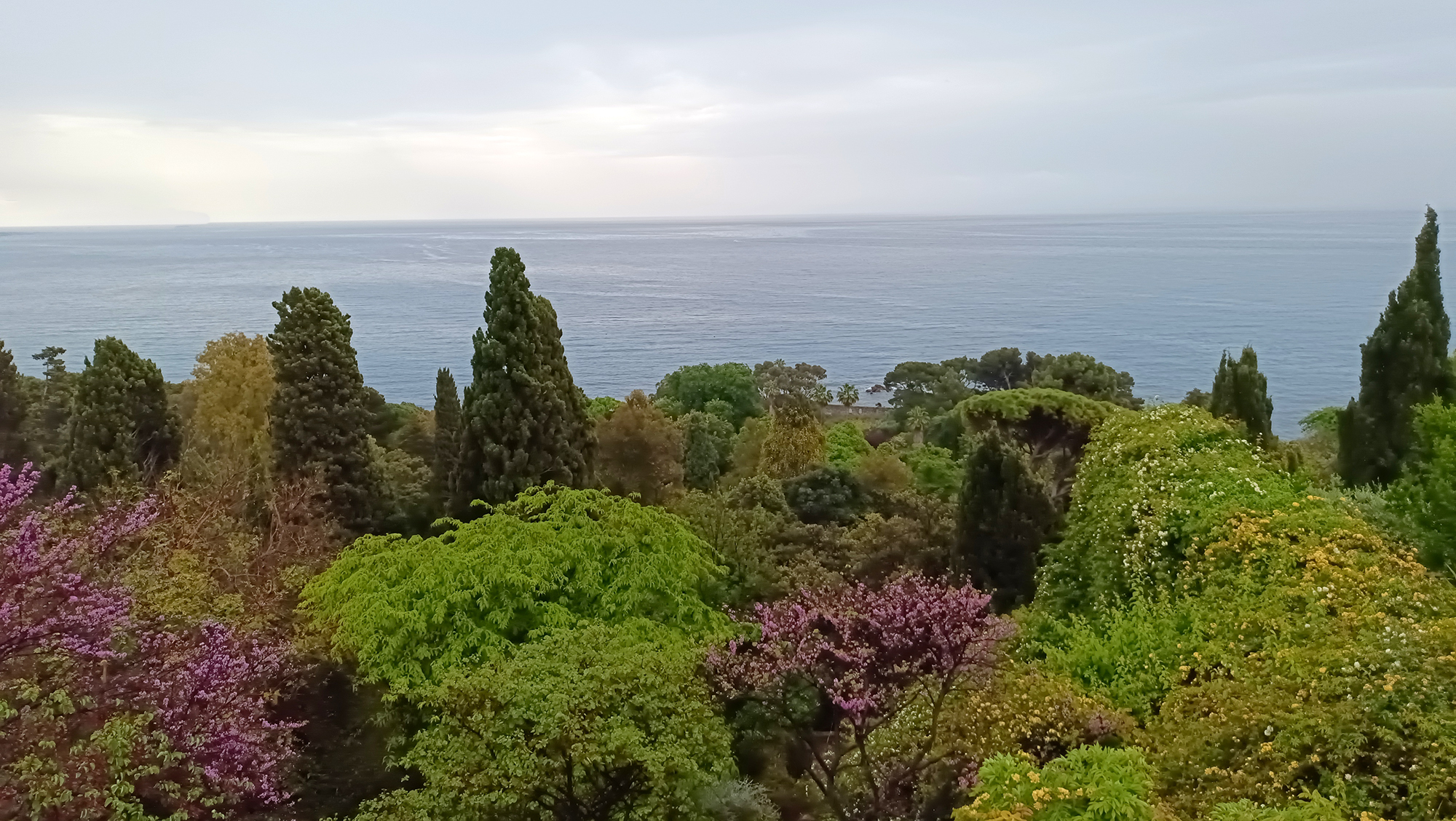 Giardini Botanici Hanbury 