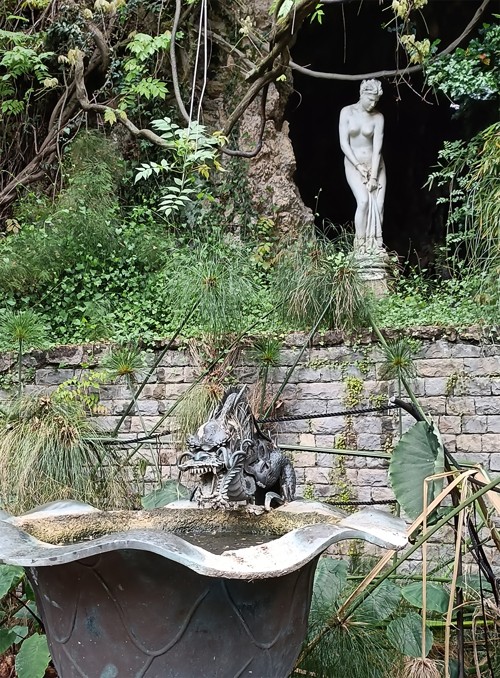 Giardini Botanici Hanbury 