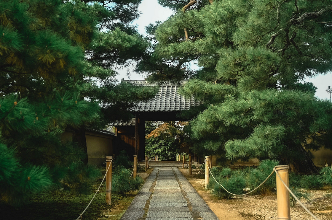 Daitokuji templom daiji in