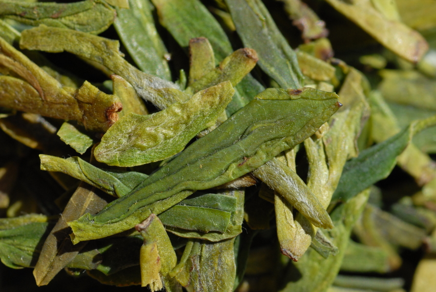 Long Jing xinchang dafo 