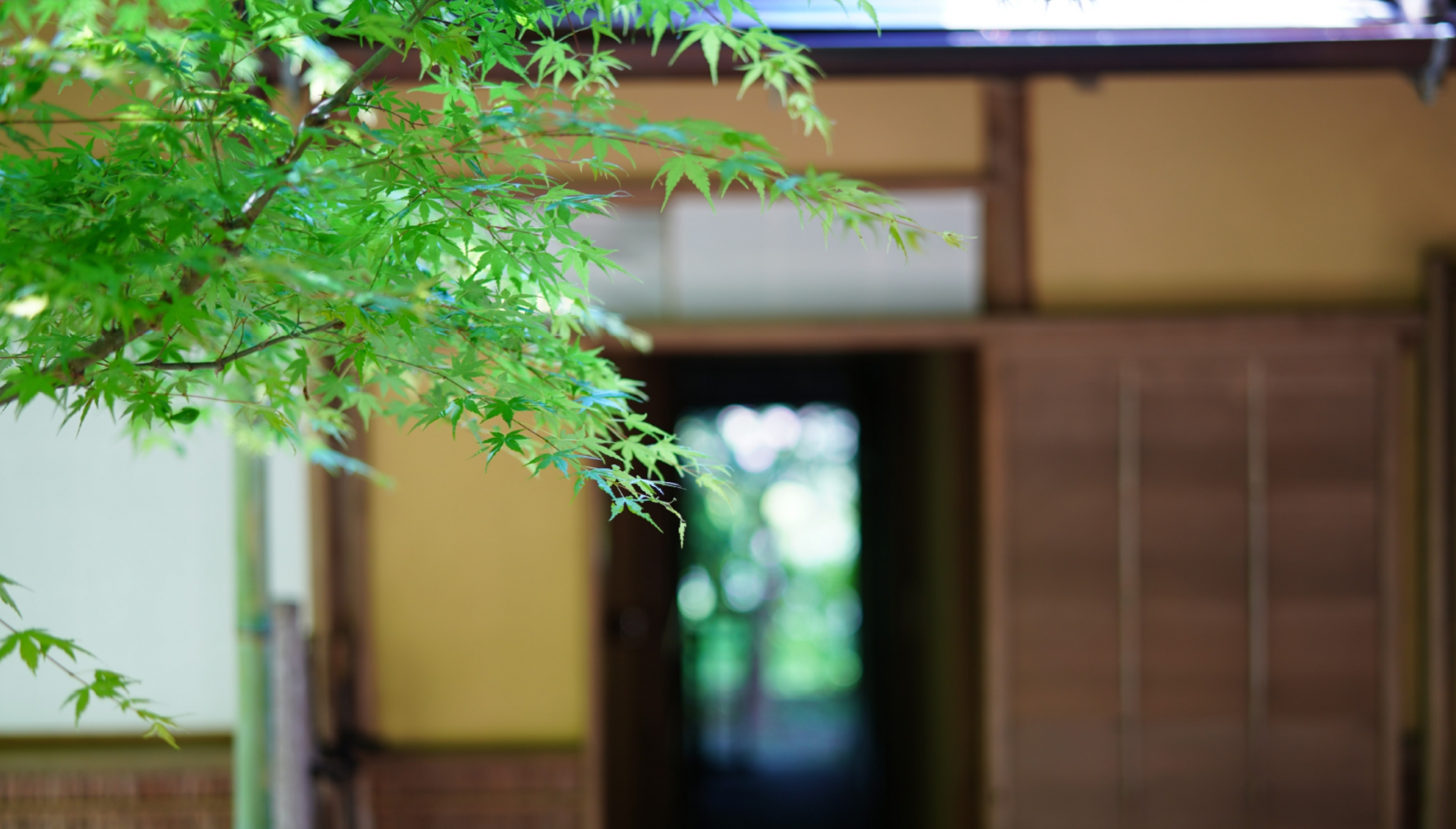 Daitokuji templom zuisenji