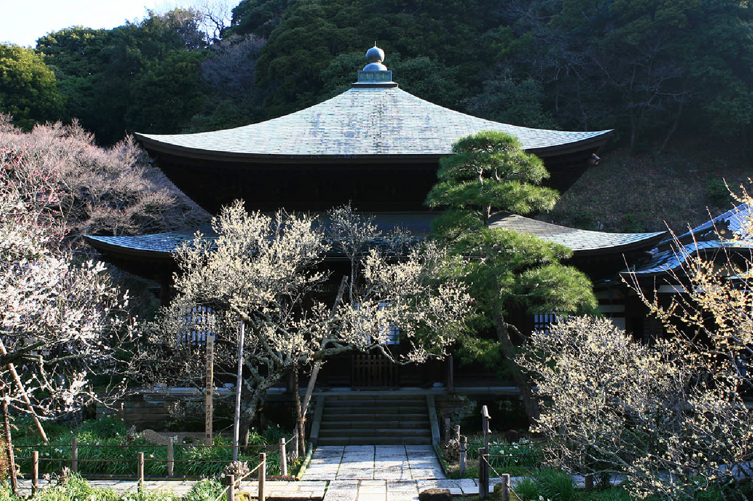 Zuisenji temple