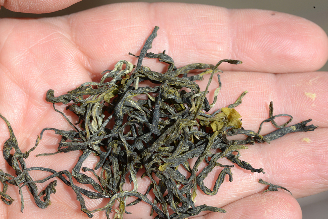 Nepal Illam zöld tea