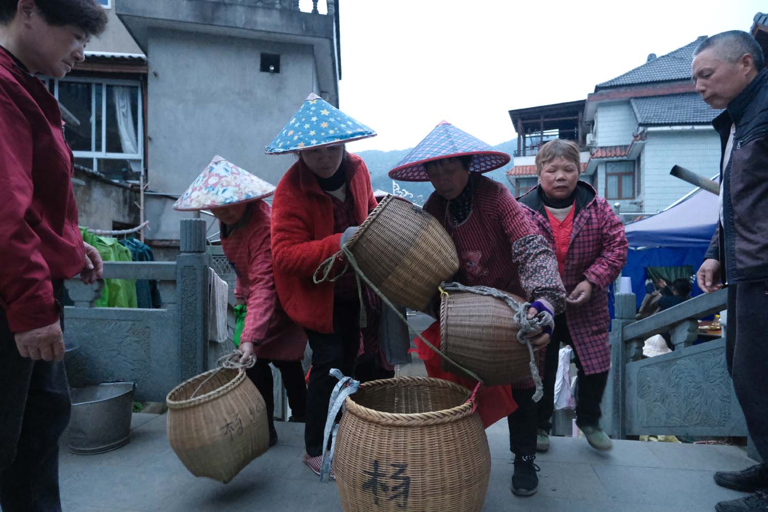 Pickers return from a mountain tea garden, emptying their baskets of freshly picked leaves into a container in Meijiawu Village, Zhejiang.